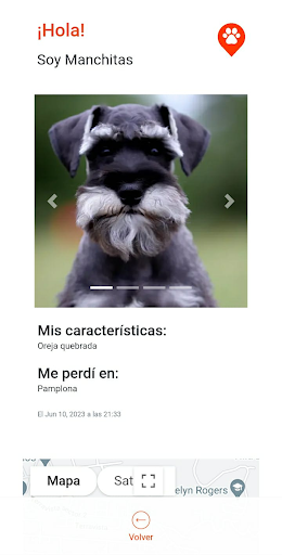 Heroes de 4 patas Screen 3