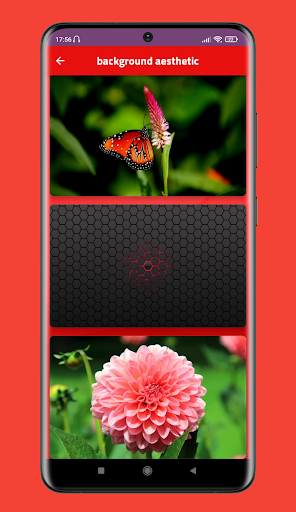 background aesthetic