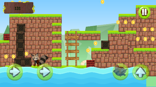 jungle raccoon adventure