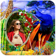 Top 40 Photography Apps Like Peacock Photo Frames HD - Best Alternatives