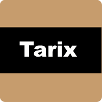 Tarix Xronologiya Testləri