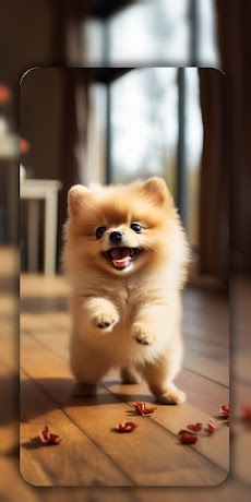 Dog Wallpapers & Cute Puppy 4Kのおすすめ画像3