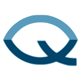 QLS icon