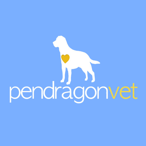 Pendragon Vet logo