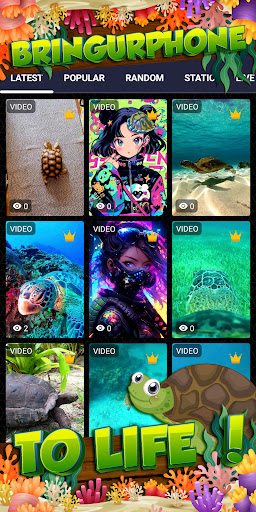 turtle wallpaper Screen 2
