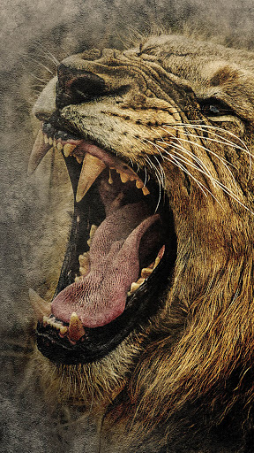 Android application roaring lion wallpaper screenshort