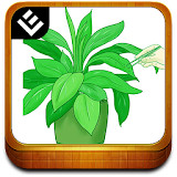 Cool Facts about Plants icon