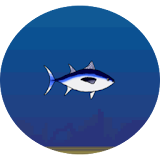 Fast and Fishy icon