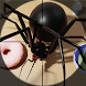Bug Buster - Spider Games
