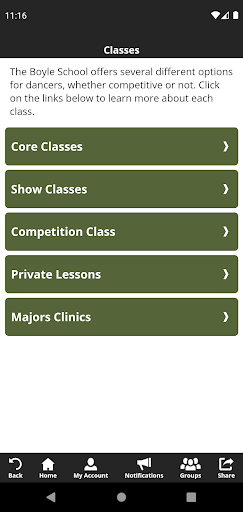 Boyle School of Irish Dance Screen 3