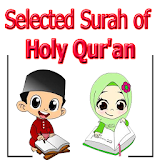 Selected Surah of Holy Al Qur'an icon
