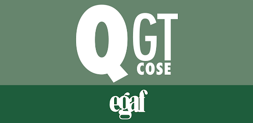 Quiz Gestore Trasporto Cose