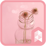 Baby pink launcher theme icon
