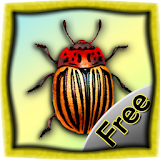 Warrior Bugs (Free) icon