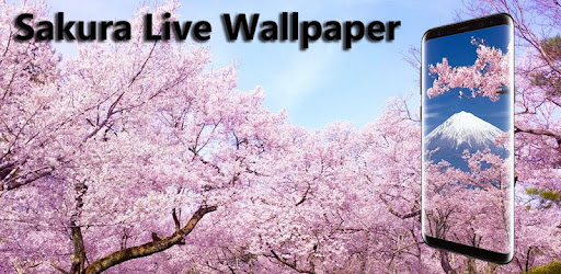Romantic Sakura 3D Live Wallpa