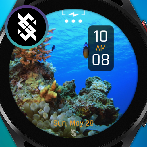 BFF13-Animation Tropical Fish logo