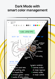 Nebo: Notes & PDF Annotations