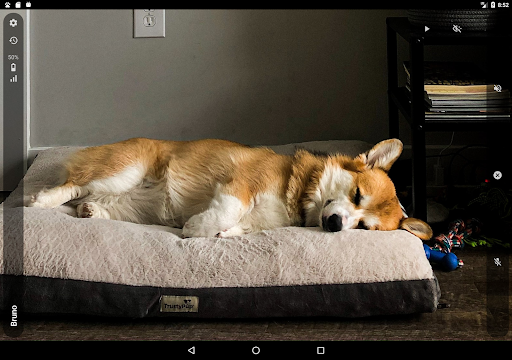AnyPet Monitor - Cat & Dog Cam screenshot 7