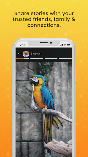 Similrz Screen 3