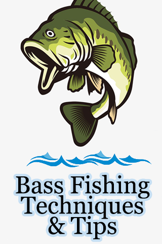 Bass Fishing Techniques & Tips 2