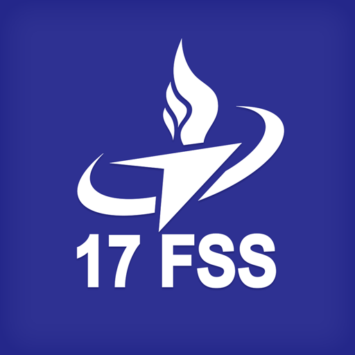 17th Force Support Squadron Logo