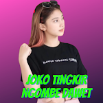 Cover Image of Tải xuống Dj Joko Tingkir Remix Offline  APK