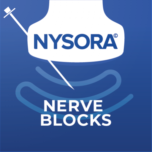 NYSORA Nerve Blocks  Icon