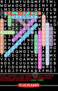 Word Search Puzzle