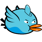 Chubby Birds