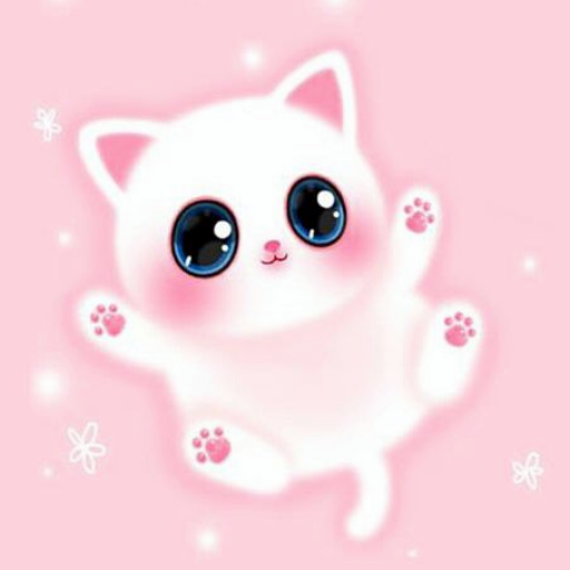 Cute Cat Wallpaper Image HD 4K Download on Windows