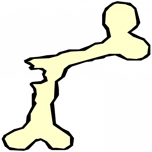 Bone Crack Sound logo