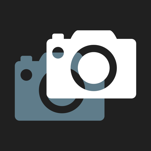 Camera Overlay for Business logo