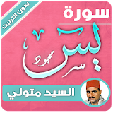 sourat yassin sayed metwally icon