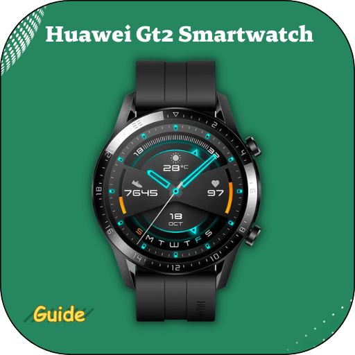Huawei gt2 b19s sale