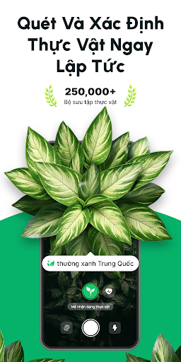Bản xem trước ứng dụng