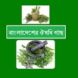 Bangladeshi Herbal Treatment icon