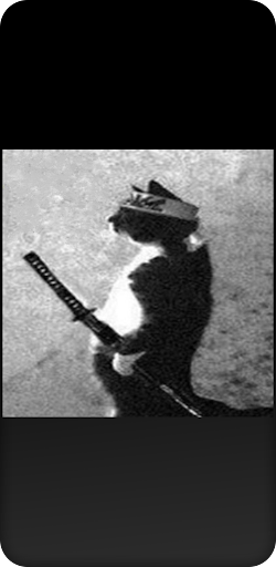 Funny Profile Pictures