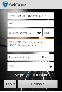 VPN Over HTTP Tunnel:WebTunnel screenshots 7