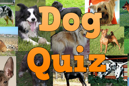 Android application Dog Breeds Quiz screenshort