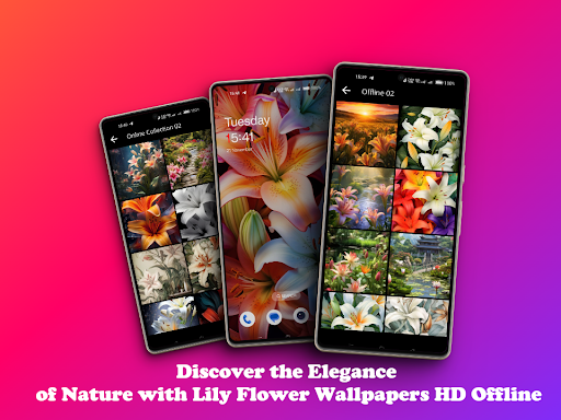 Lily Wallpapers Offline HD Screen 2