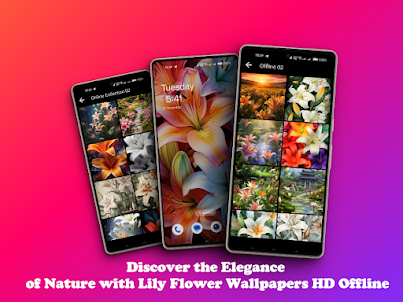 Lily Wallpapers Offline HD