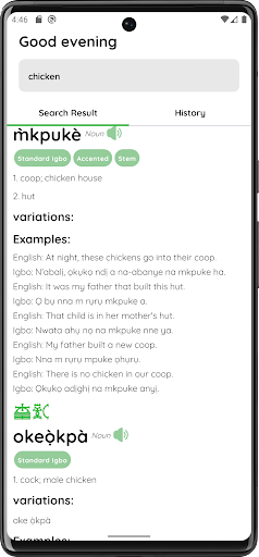Igbo Dictionary Screen 3