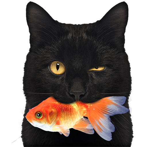 Fish In Wonderland! logo