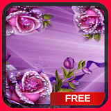 Purple Roses Live Wallpaper Theme icon