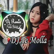 Top 45 Music & Audio Apps Like Dj Te Molla Remix Full Bass Offline - Best Alternatives