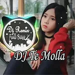 Dj Te Molla Remix Full Bass Offline Apk