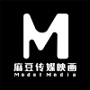 麻豆传媒 icon