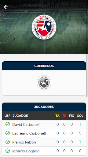 Tesoros Soccer League Screen 2