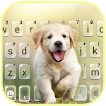 Labrador Puppy Keyboard Background Apk