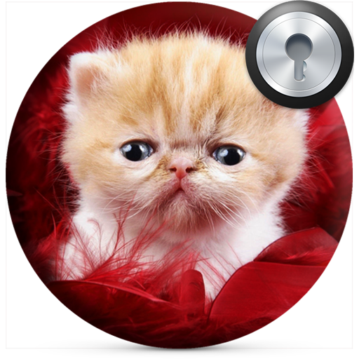 Cute Kitten Lock Screen  Icon